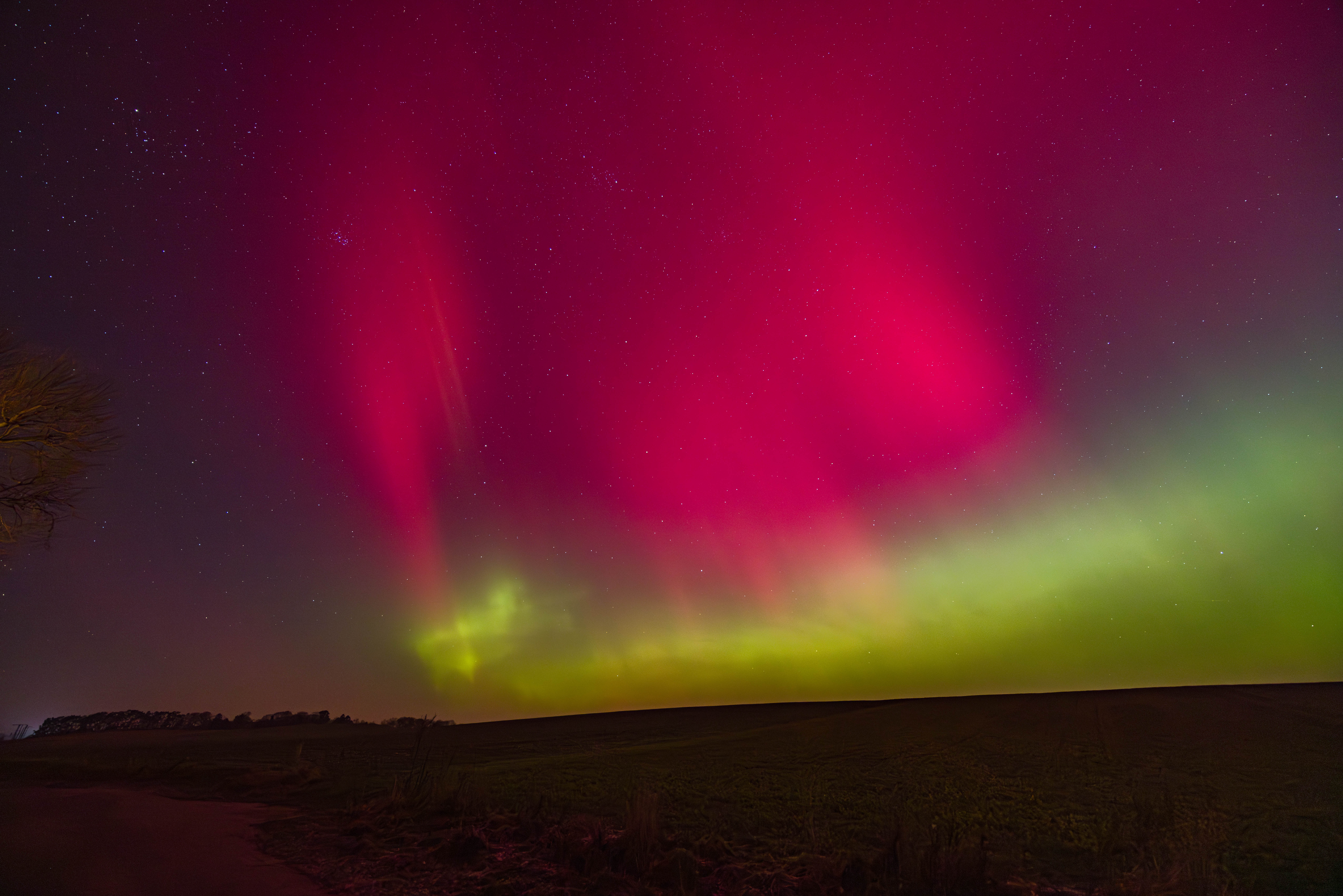 GMR52191 20260119 231225 14 mm 5.0 Sek. bei f   4,0 ISO 2500